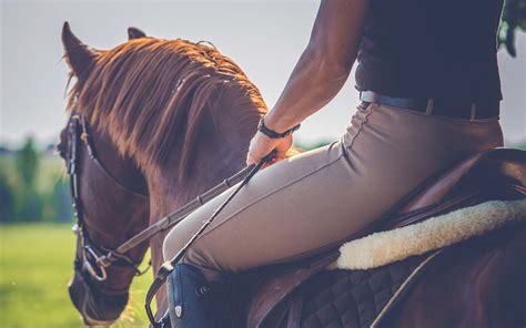 schwanz reiten|Wie man einen Mann reitet (10 effektive Tipps)